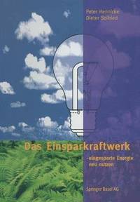 bokomslag Das Einsparkraftwerk