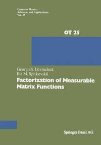 bokomslag Factorization of Measurable Matrix Functions