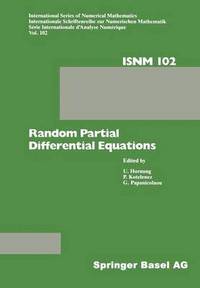 bokomslag Random Partial Differential Equations