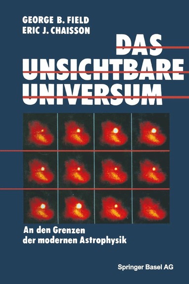 bokomslag Das unsichtbare Universum