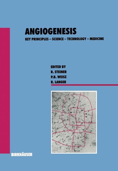 bokomslag Angiogenesis