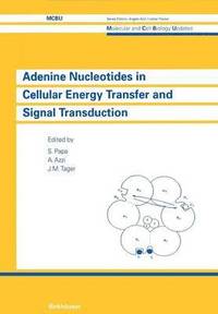 bokomslag Adenine Nucleotides in Cellular Energy Transfer and Signal Transduction
