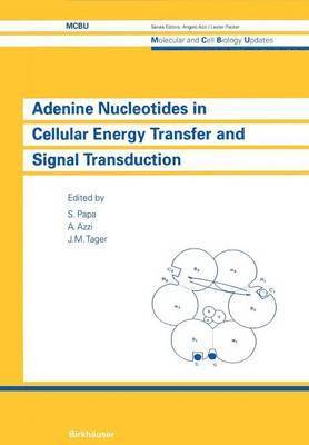 Adenine Nucleotides in Cellular Energy Transfer and Signal Transduction 1