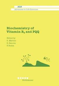 bokomslag Biochemistry of Vitamin B6 and PQQ