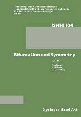 bokomslag Bifurcation and Symmetry