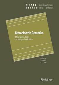 bokomslag Ferroelectric Ceramics