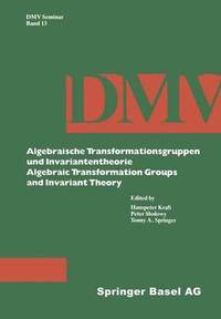 bokomslag Algebraische Transformationsgruppen und Invariantentheorie Algebraic Transformation Groups and Invariant Theory