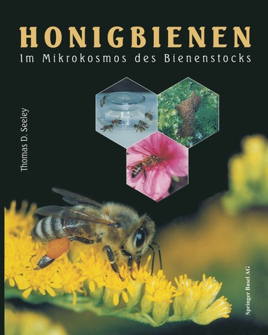 bokomslag Honigbienen