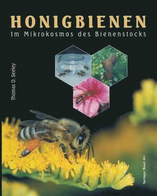 Honigbienen 1