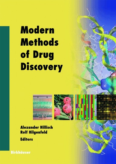 Alexander Hillisch, Rolf Hilgenfeld - Modern Methods of Drug Discovery, Häftad