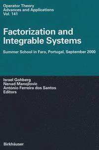 bokomslag Factorization and Integrable Systems