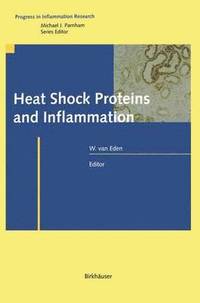 bokomslag Heat Shock Proteins and Inflammation