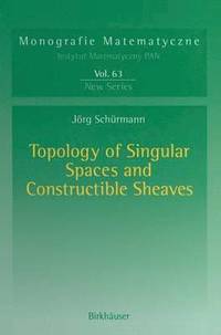 bokomslag Topology of Singular Spaces and Constructible Sheaves