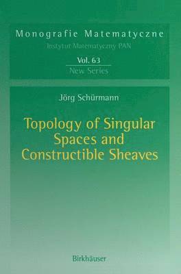 bokomslag Topology of Singular Spaces and Constructible Sheaves