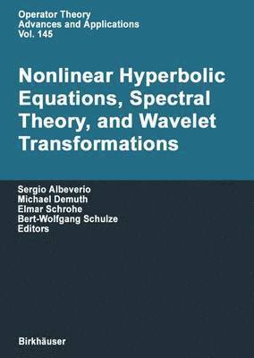 bokomslag Nonlinear Hyperbolic Equations, Spectral Theory, and Wavelet Transformations