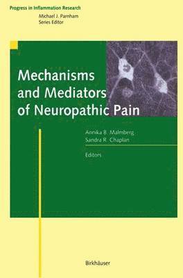 Annika B. Malmberg, Sandra R. Chaplan - Mechanisms and Mediators of Neuropathic Pain, Häftad