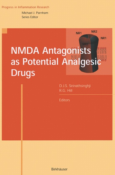 bokomslag NMDA Antagonists as Potential Analgesic Drugs