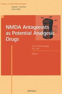 NMDA Antagonists as Potential Analgesic Drugs 1