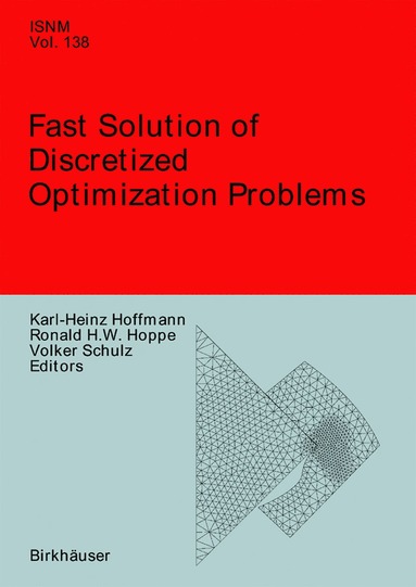 bokomslag Fast Solution of Discretized Optimization Problems