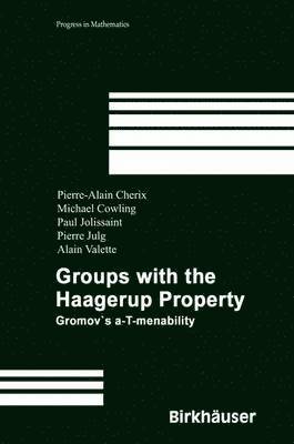 bokomslag Groups with the Haagerup Property