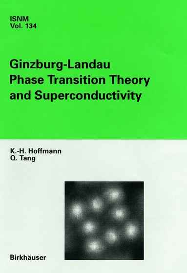 K.-H. Hoffmann, Q. Tang - Ginzburg-Landau Phase Transition Theory and Superconductivity, Häftad
