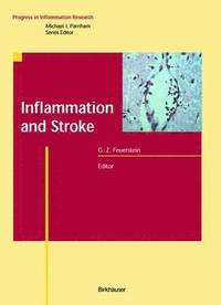 bokomslag Inflammation and Stroke