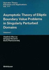 bokomslag Asymptotic Theory of Elliptic Boundary Value Problems in Singularly Perturbed Domains