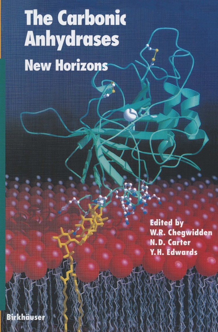 The Carbonic Anhydrases 1