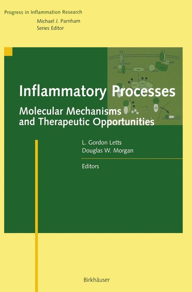 bokomslag Inflammatory Processes: