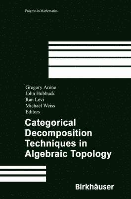 bokomslag Categorical Decomposition Techniques in Algebraic Topology