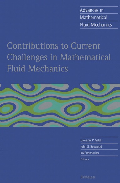 Giovanni P. Galdi, John G. Heywood, Rolf Rannacher - Contributions to Current Challenges in Mathematical Fluid Mechanics, Häftad