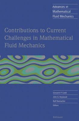 Giovanni P. Galdi, John G. Heywood, Rolf Rannacher, Giovanni P. Galdi, John G. Heywood - Contributions to Current Challenges in Mathematical Fluid Mechanics, Häftad