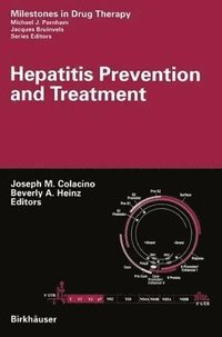 bokomslag Hepatitis Prevention and Treatment