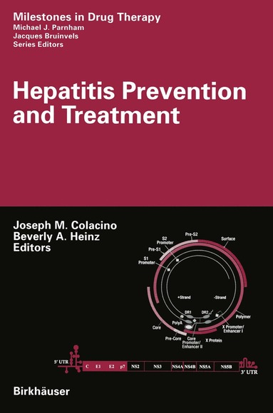 bokomslag Hepatitis Prevention and Treatment