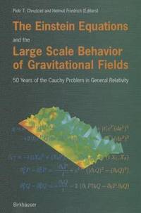bokomslag The Einstein Equations and the Large Scale Behavior of Gravitational Fields