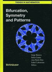 bokomslag Bifurcation, Symmetry and Patterns