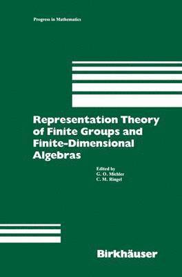 bokomslag Representation Theory of Finite Groups and Finite-Dimensional Algebras