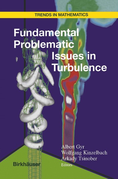 Albert Gyr, Wolfgang Kinzelbach, Arkady Tsinober - Fundamental Problematic Issues in Turbulence, Häftad