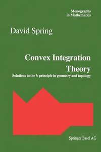 bokomslag Convex Integration Theory