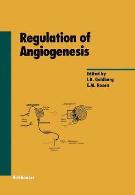 I.D. Goldberg, E.R. Rosen, I. D. Goldberg, E. R. Rosen - Regulation of Angiogenesis, Häftad