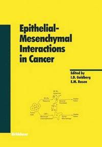 bokomslag EpithelialMesenchymal Interactions in Cancer