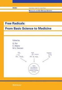 bokomslag Free Radicals: from Basic Science to Medicine