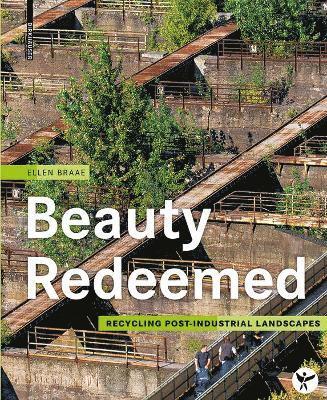 bokomslag Beauty Redeemed