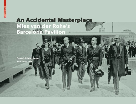 Dietrich Neumann - Accidental Masterpiece, Inbunden
