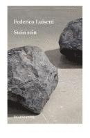 bokomslag Stein sein