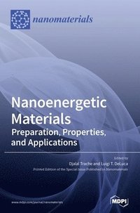 bokomslag Nanoenergetic Materials