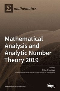 bokomslag Mathematical Analysis and Analytic Number Theory 2019