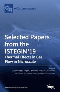 bokomslag Selected Papers from the ISTEGIM'19