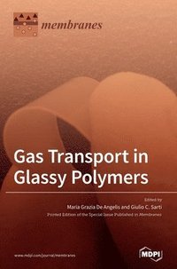 bokomslag Gas Transport in Glassy Polymers
