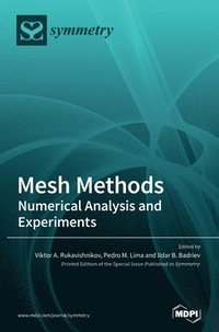 bokomslag Mesh Methods